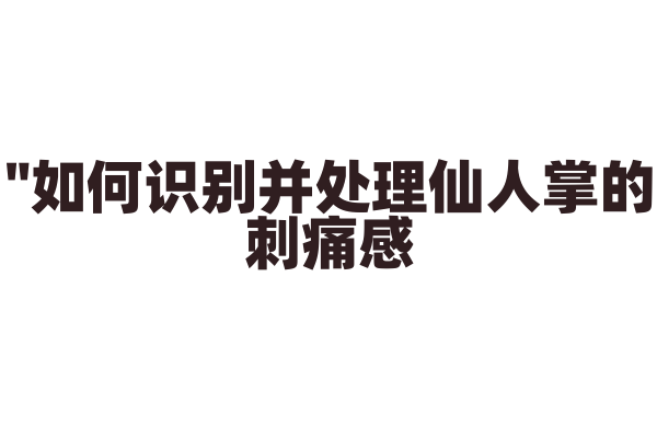"如何识别并处理仙人掌的刺痛感？"